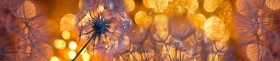 Кухонный фартук Мерцание Одуванчики золотистые 3 серебро в Калачинске - kalachinsk.katalogmebeli.com | фото